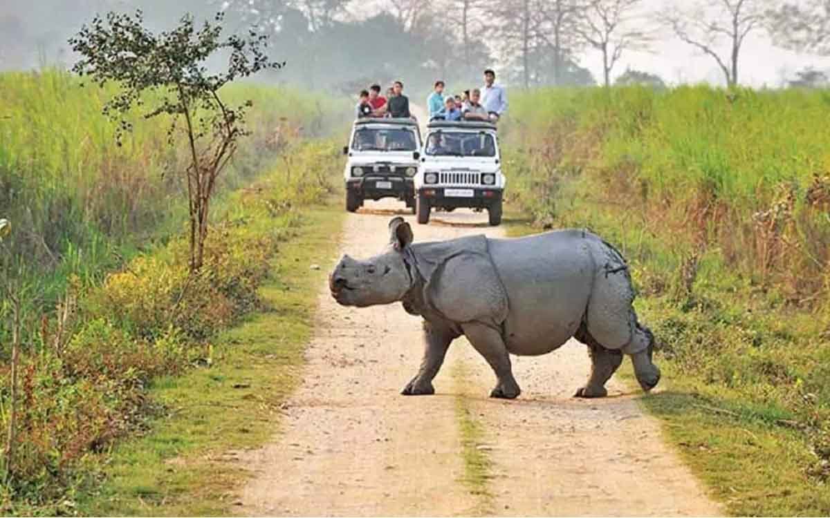 Kaziranga National Park
