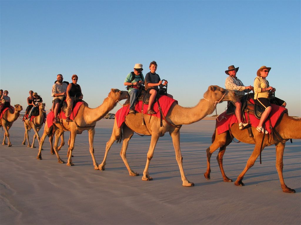 Rajasthan Camel Safari