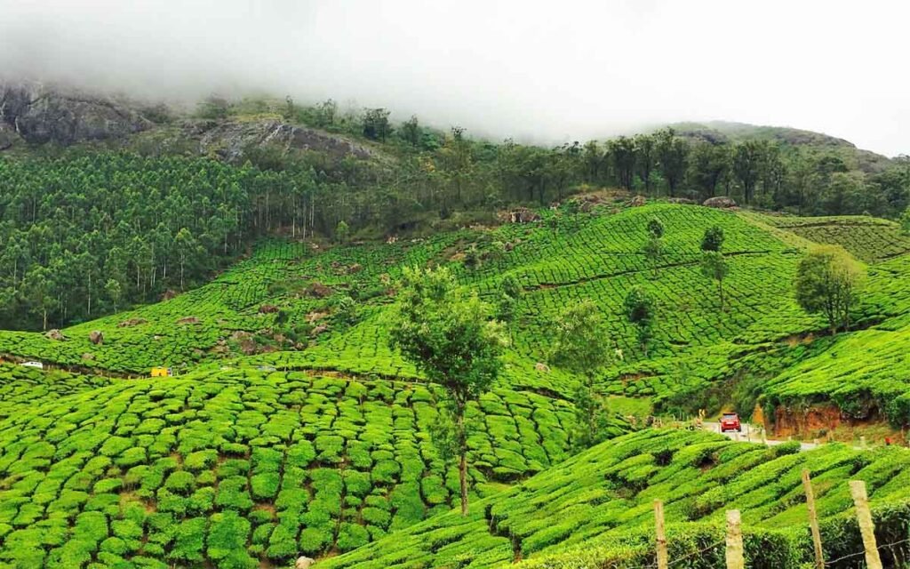 Summer Vacation In South India
