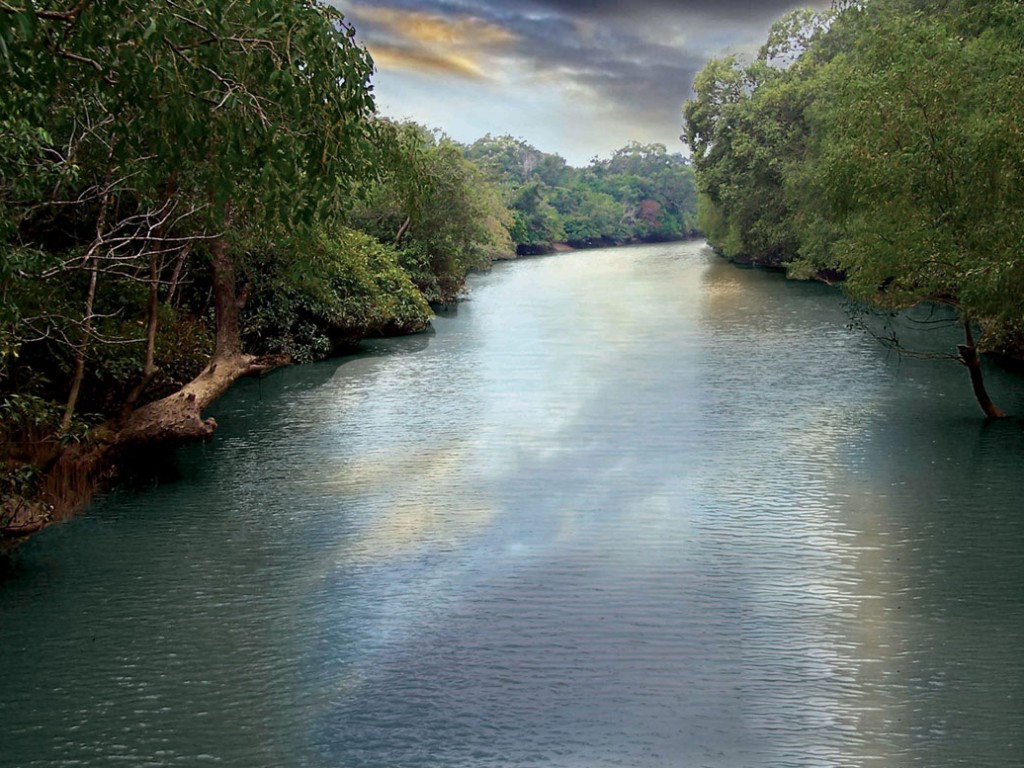 BhitarKanika National Park