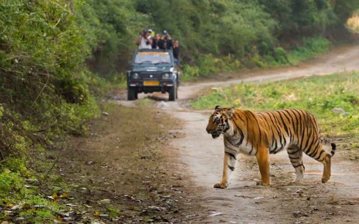 Corbett National Park