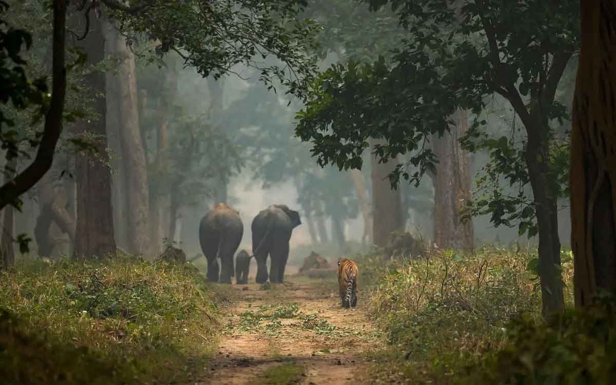 Dudhwa National Park