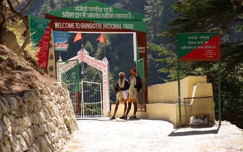Gangotri National Park