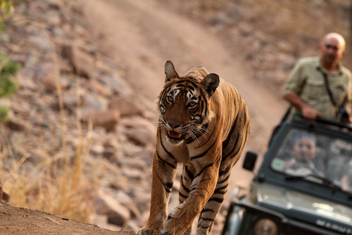 Rajaji National Park