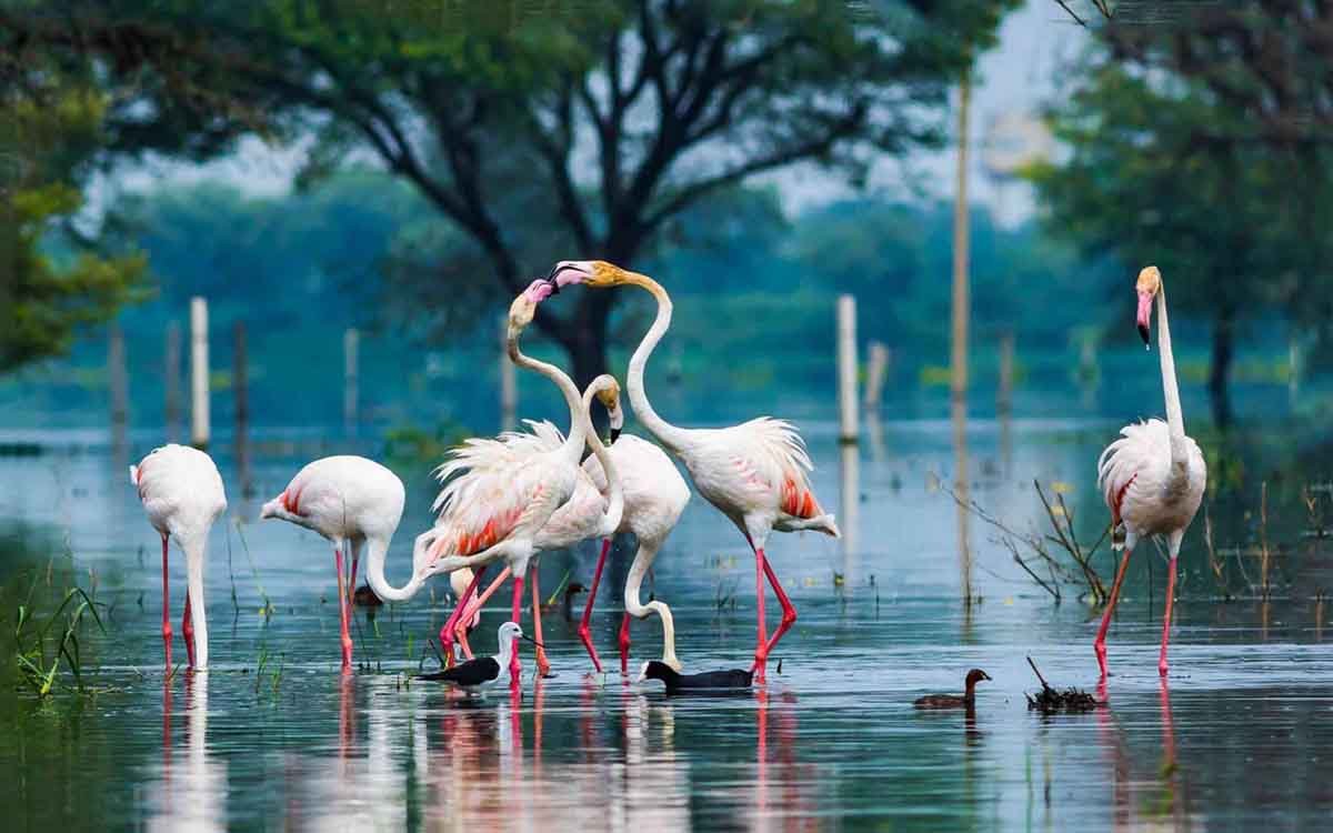 Indian Wilderness Tour