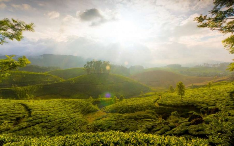 Luxury South India Tour Packages