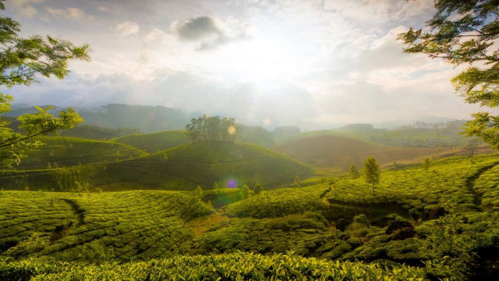 Luxury South India Tour Packages