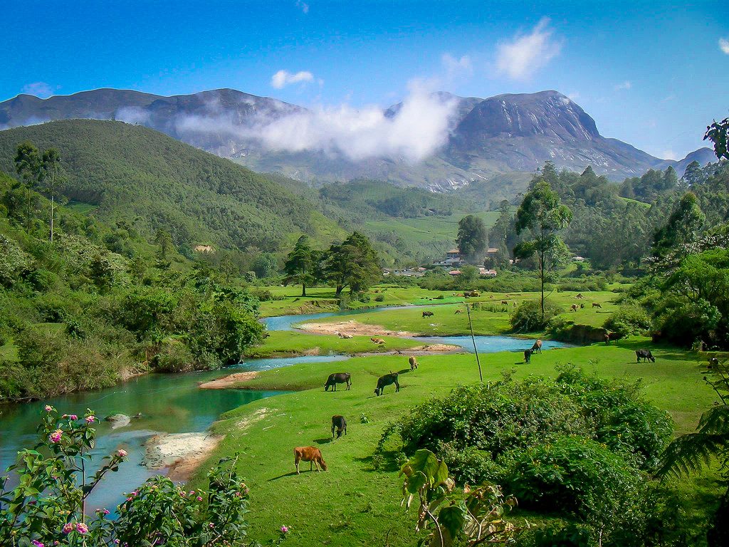 Famous Places to Visit in Munnar