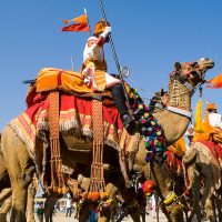 Rajasthan Desert Tour 2024