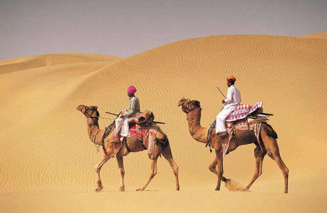World Famous Bikaner Camel Festival