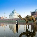 Best Trip Places In India