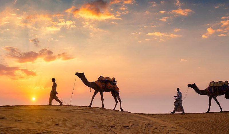 How To Travel In Rajasthan City