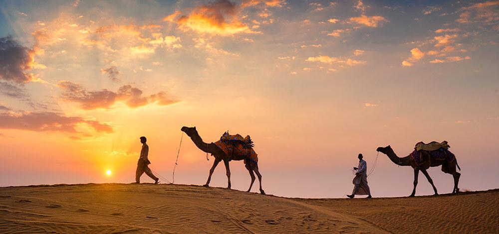 How To Travel In Rajasthan City